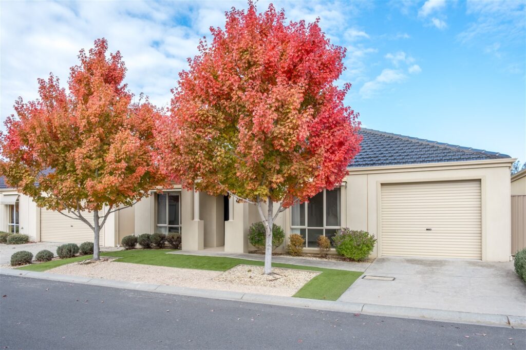 agent202_residential_extra_6519188 agent202_residential_extra_6519188