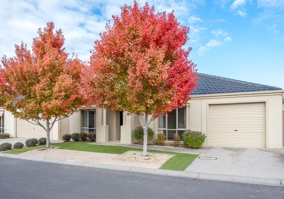 agent202_residential_extra_6519188